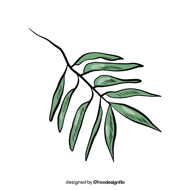 Tropical leaf illustration clipart