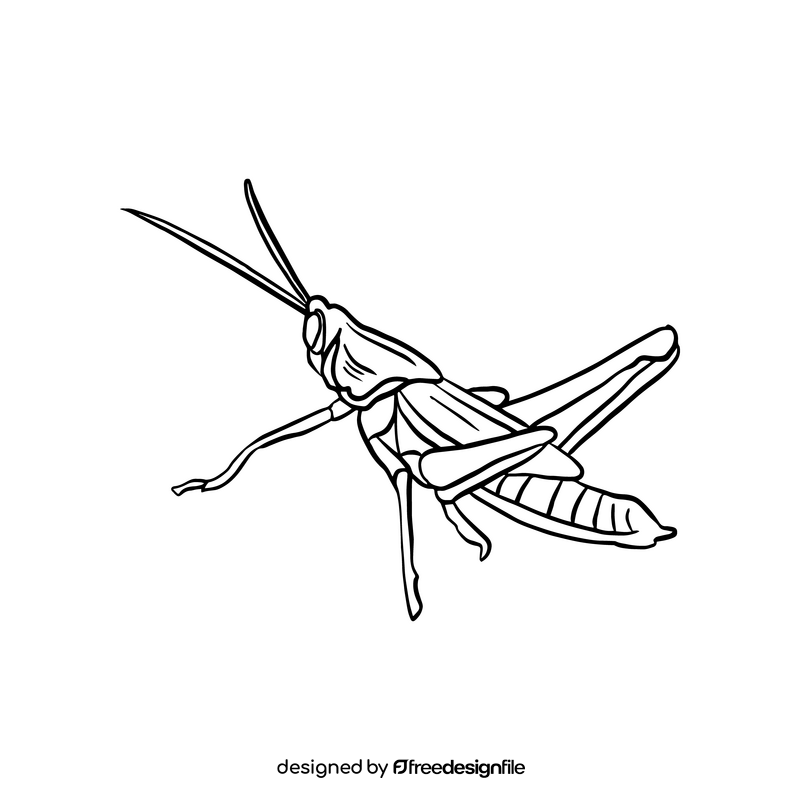 Free grasshopper illustration black and white clipart