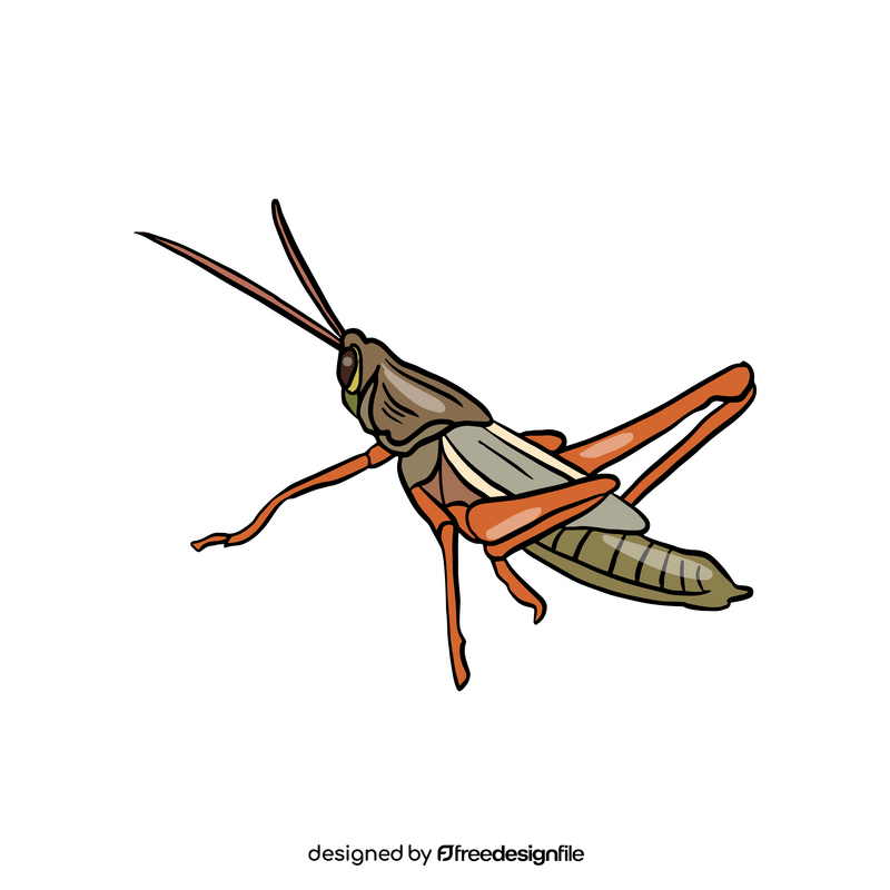 Free grasshopper illustration clipart