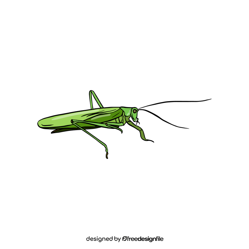 Green grasshopper drawing clipart