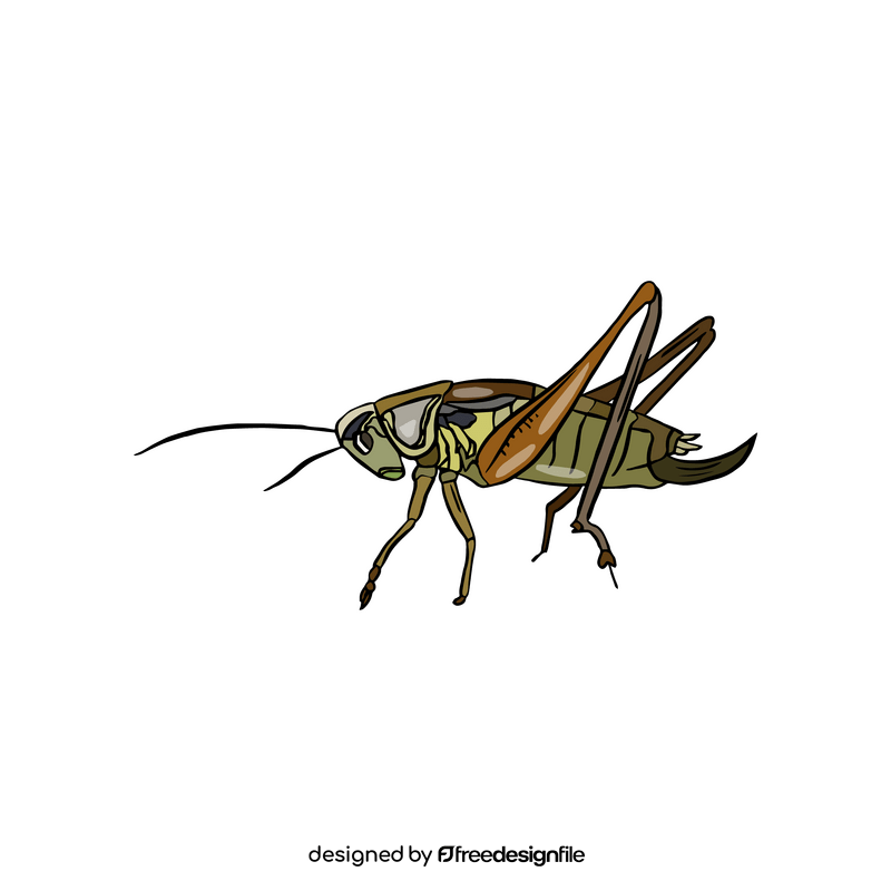 Grasshopper drawing clipart