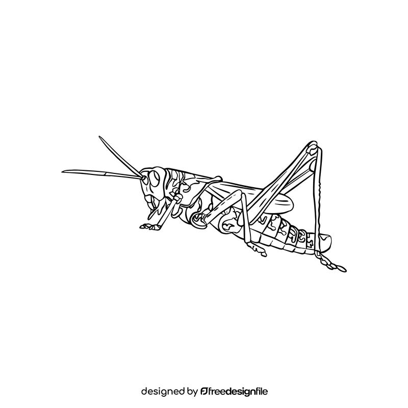 Grasshopper black and white clipart