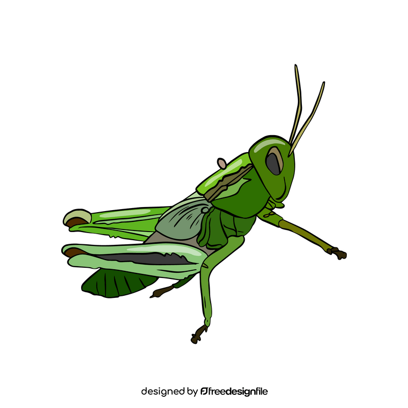 Grasshopper illustration clipart