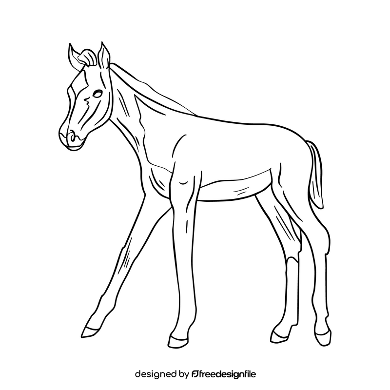 Cute horse illustration black and white clipart