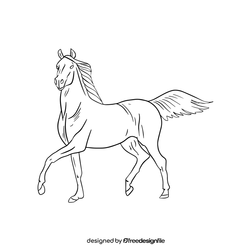 Horse illustration black and white clipart