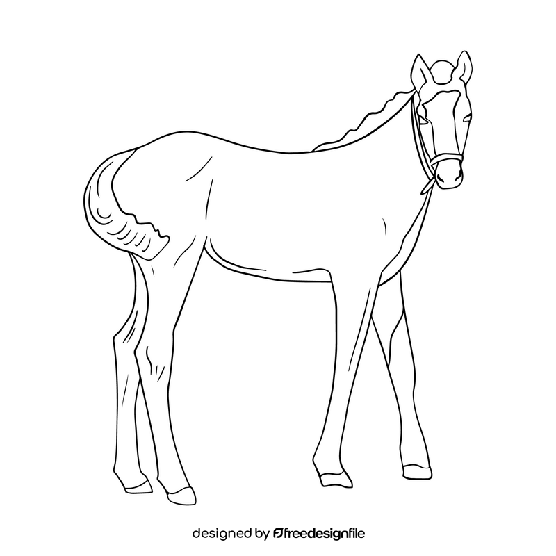 Free horse drawing black and white clipart