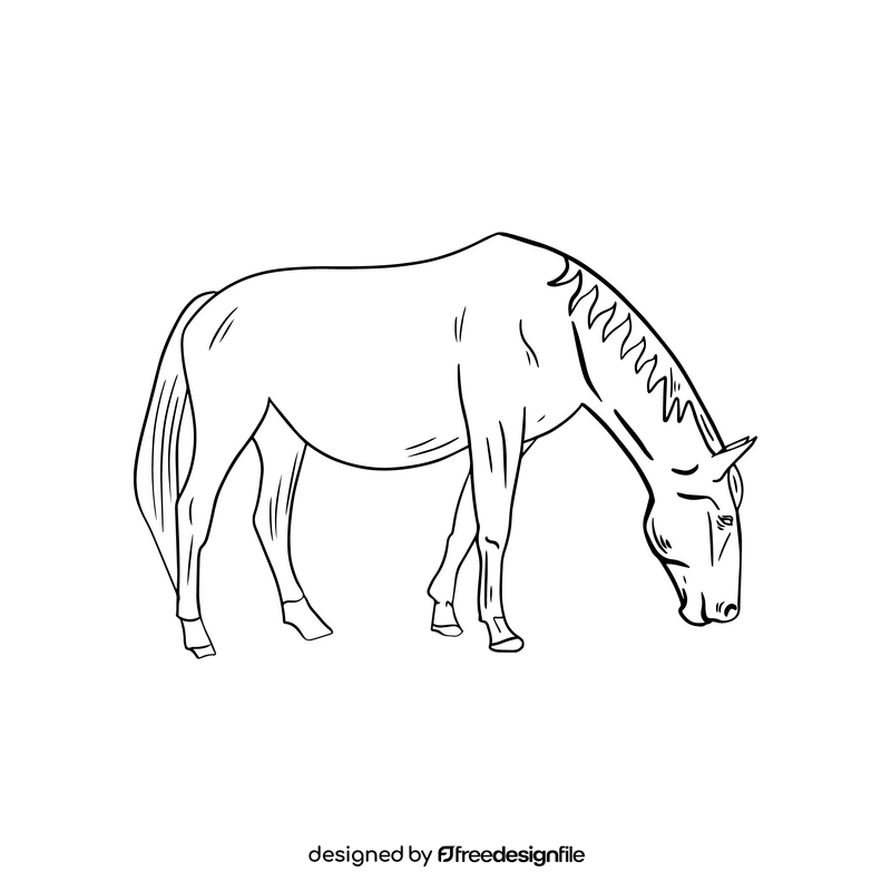 Horse black and white clipart