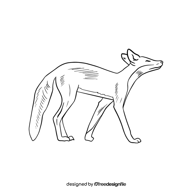 Fox illustration black and white clipart