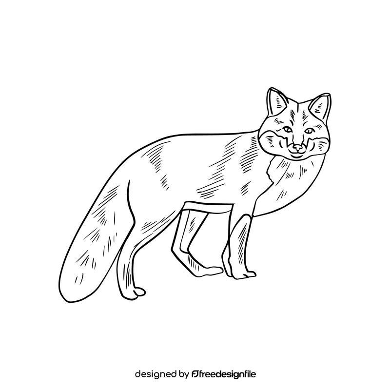 Fox illustration black and white clipart