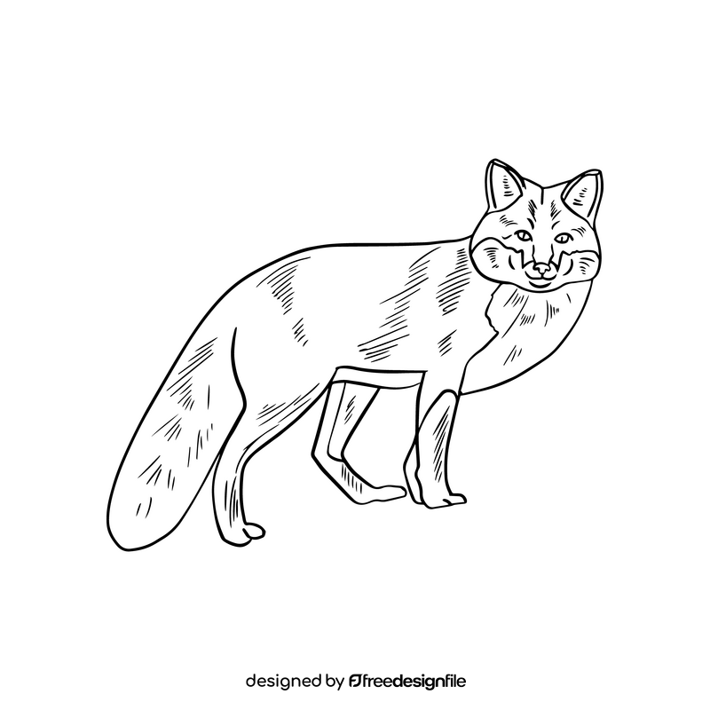 black and white fox illustration download