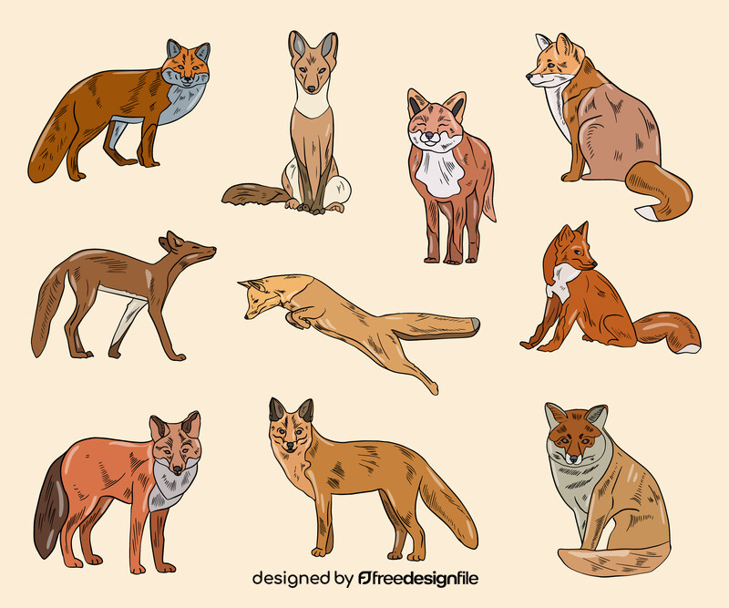 Free foxes vector