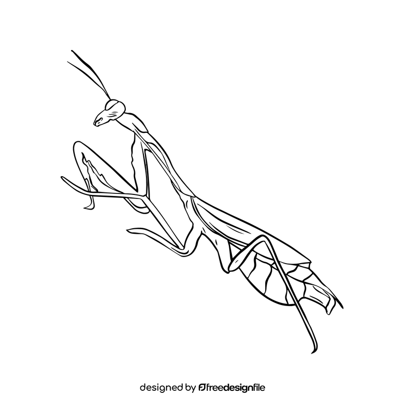Mantis drawing black and white clipart