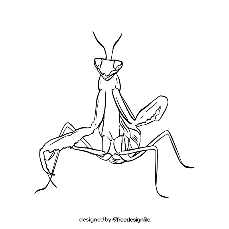 Free mantis black and white clipart