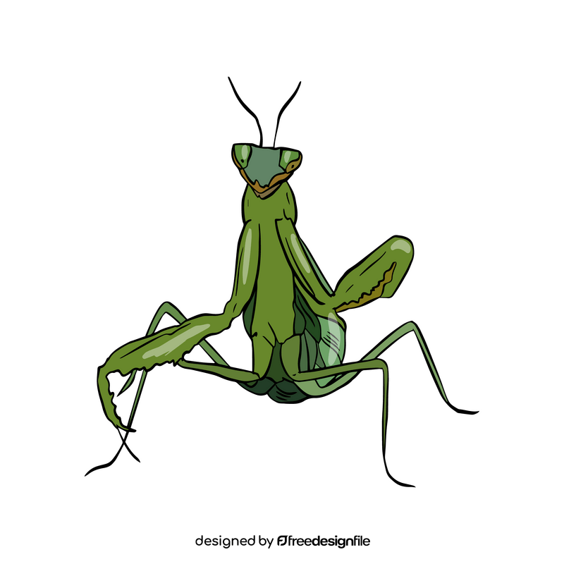 Free mantis clipart