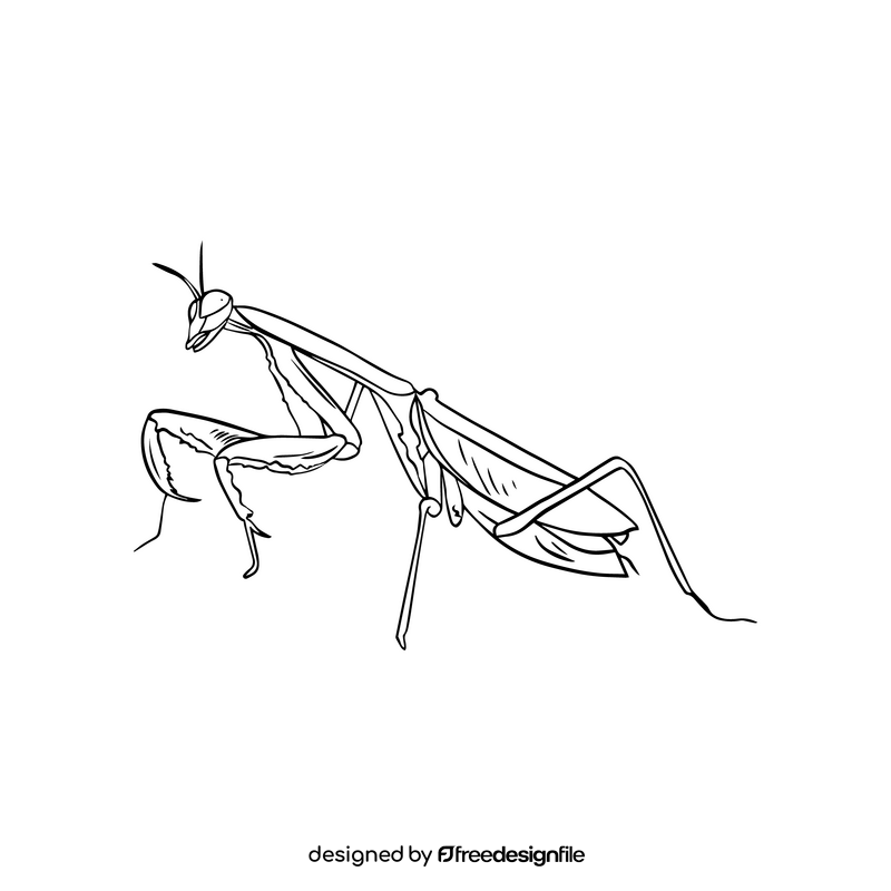 Mantis black and white clipart