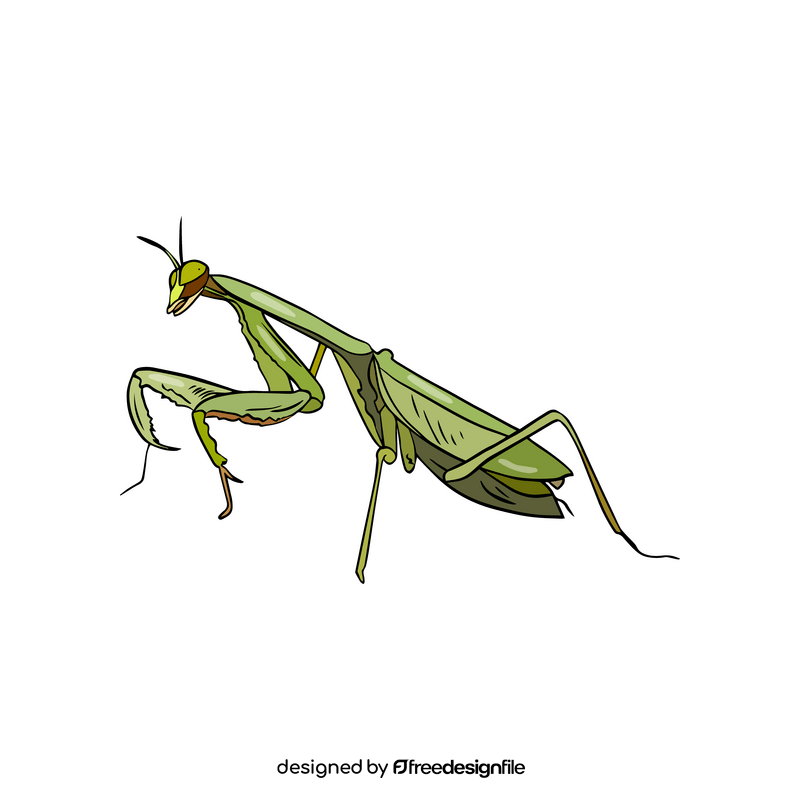 Mantis clipart