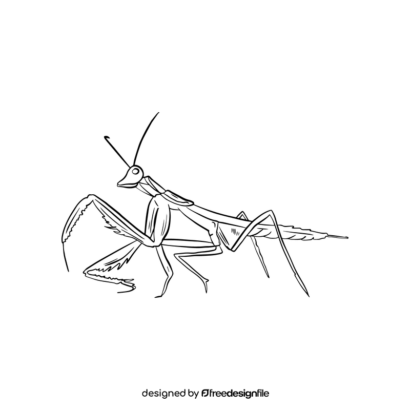 Free mantis drawing black and white clipart