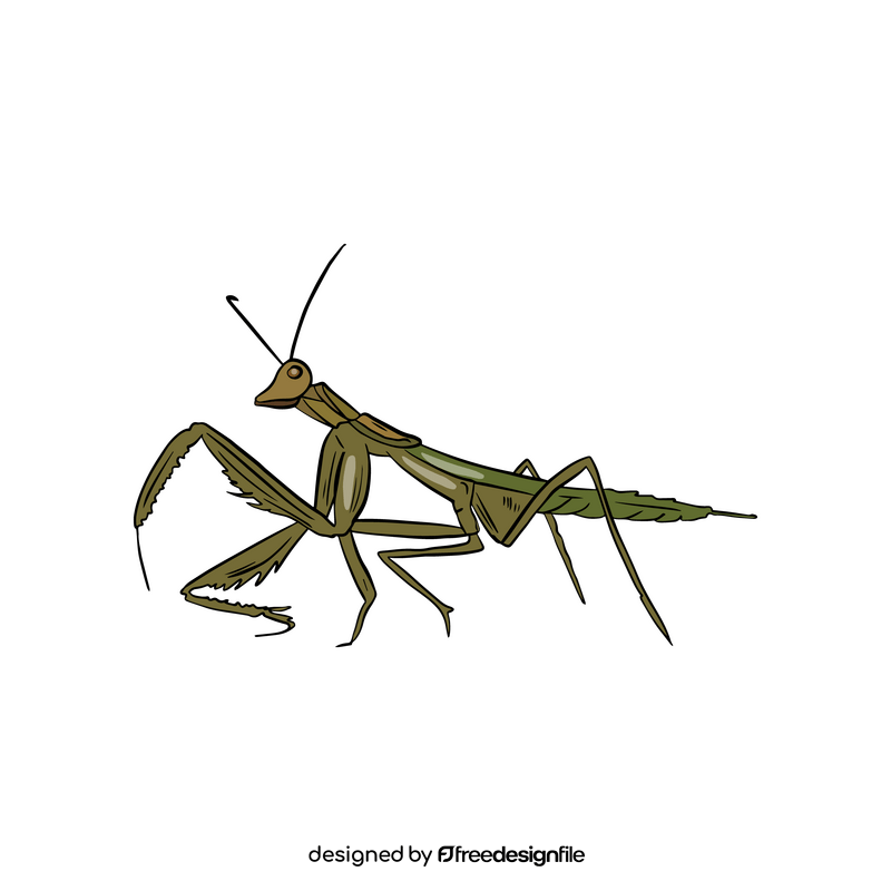 Free mantis drawing clipart