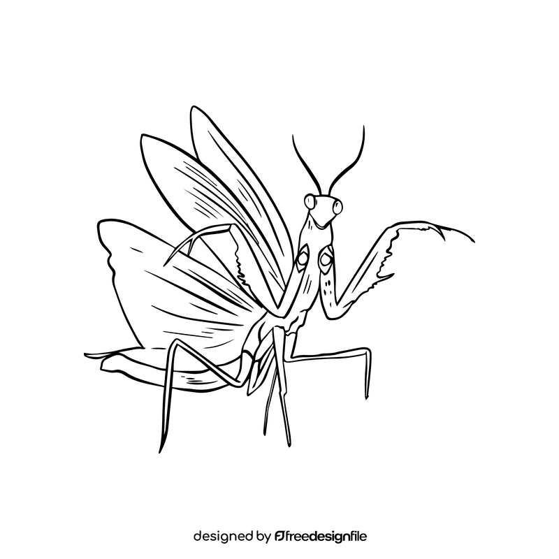 Mantis drawing black and white clipart
