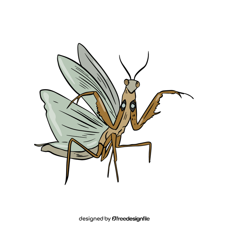 Mantis drawing clipart
