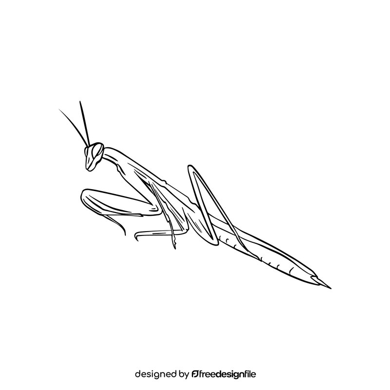Mantis black and white clipart