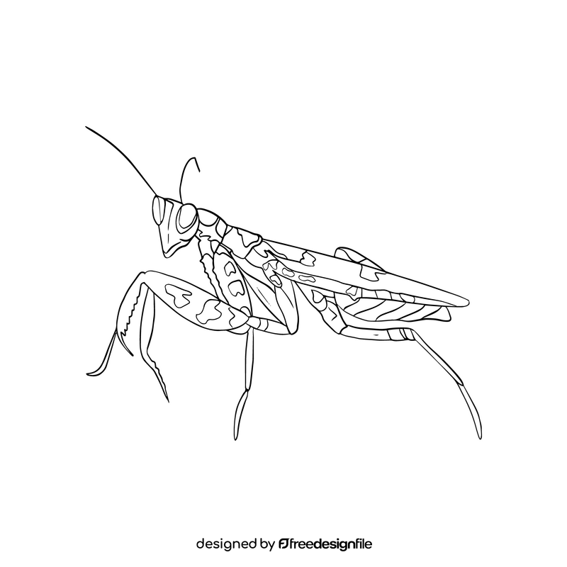 Cartoon mantis black and white clipart