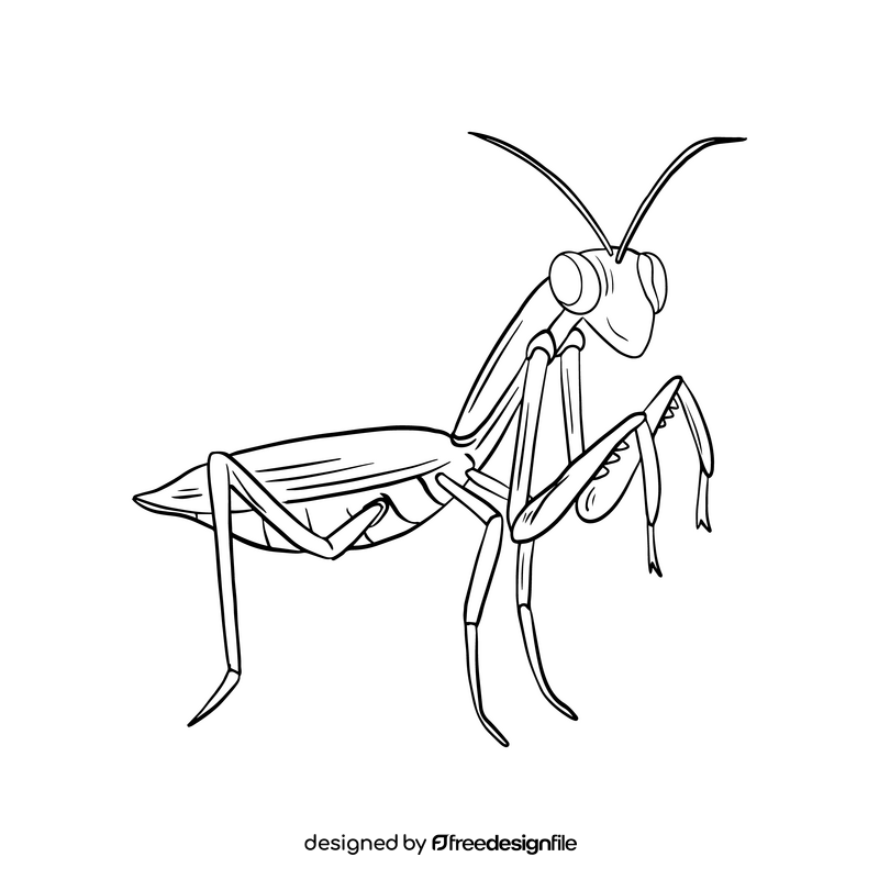 Cartoon Mantis illustration black and white clipart