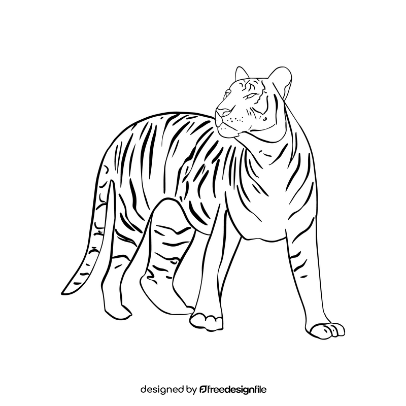Free tiger illustration black and white clipart
