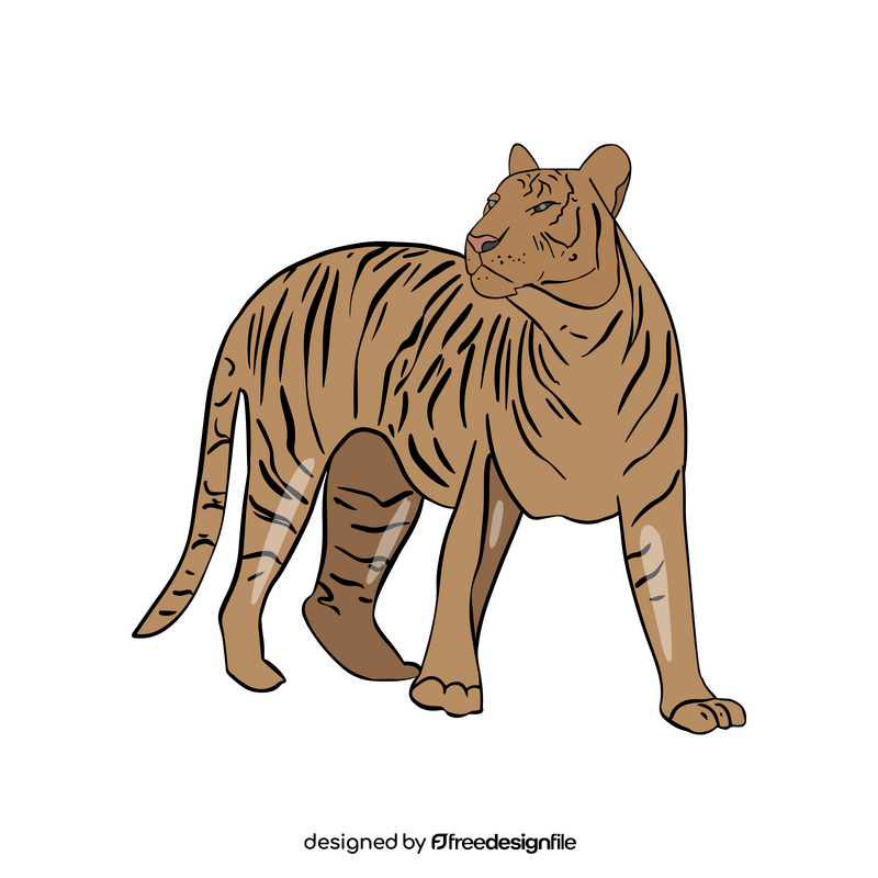 Free tiger illustration clipart