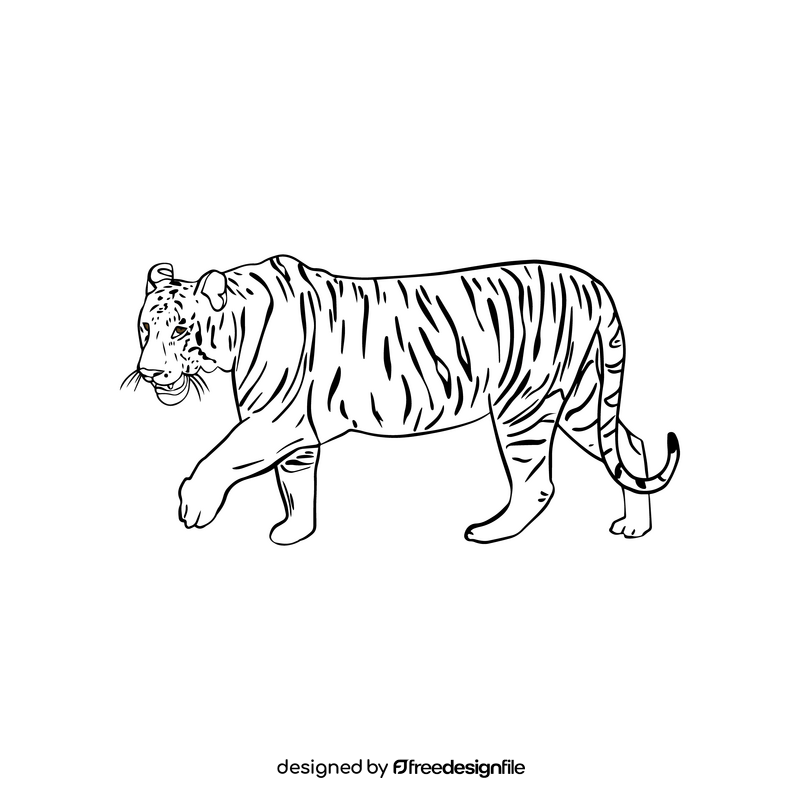 Tiger illustration black and white clipart