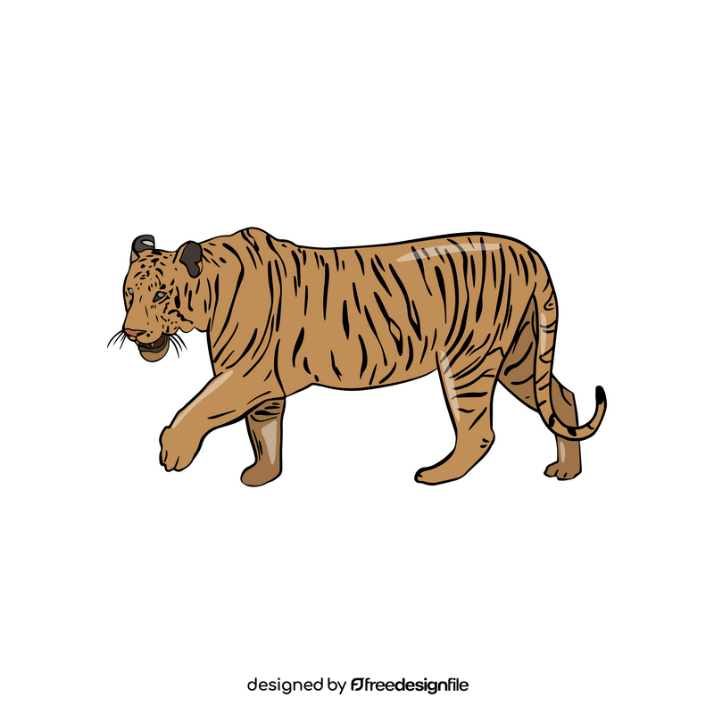 Tiger illustration clipart