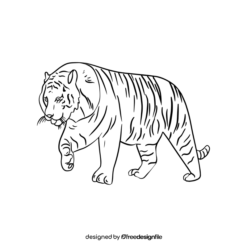 Cartoon tiger black and white clipart