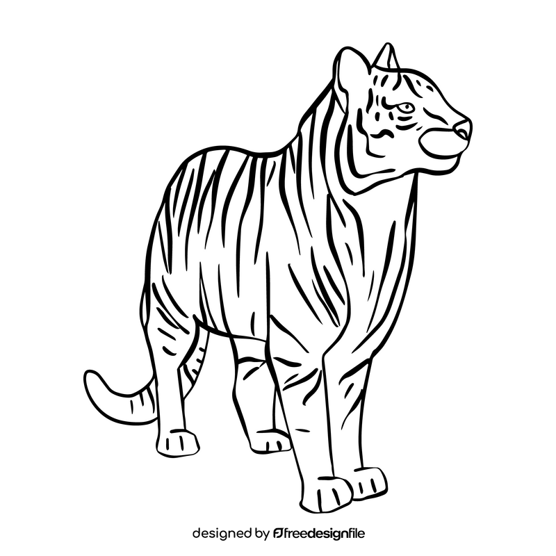 Cartoon tiger drawing black and white clipart