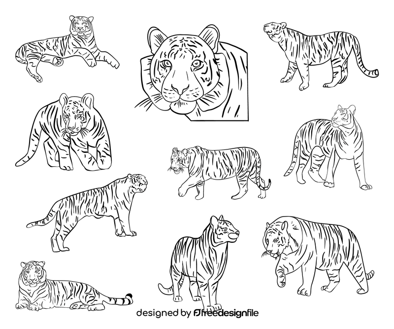 Cartoon tigers black and white vector
