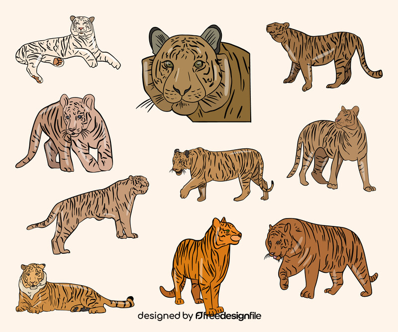 Cartoon tigers vector