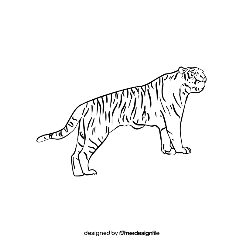 Tiger black and white clipart