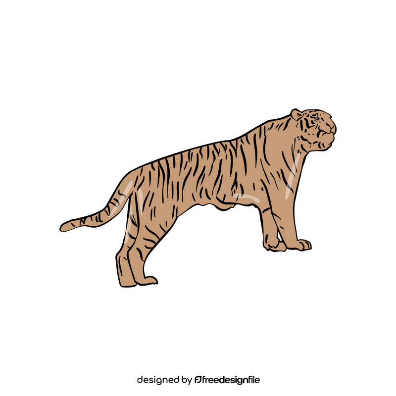 Tiger clipart