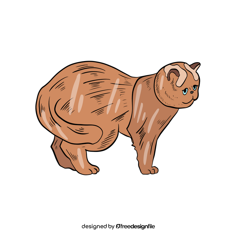 Cartoon cat illustration clipart