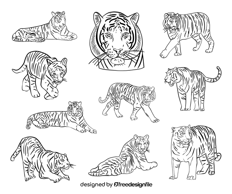 Cute tigers black and white vector
