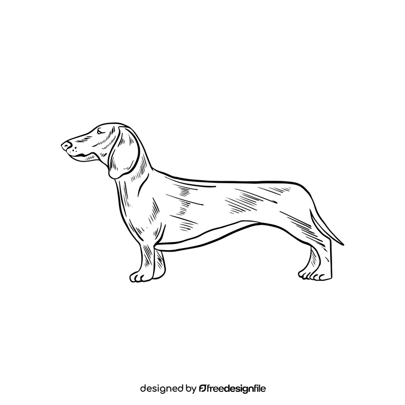 Dachshund dog illustration black and white clipart