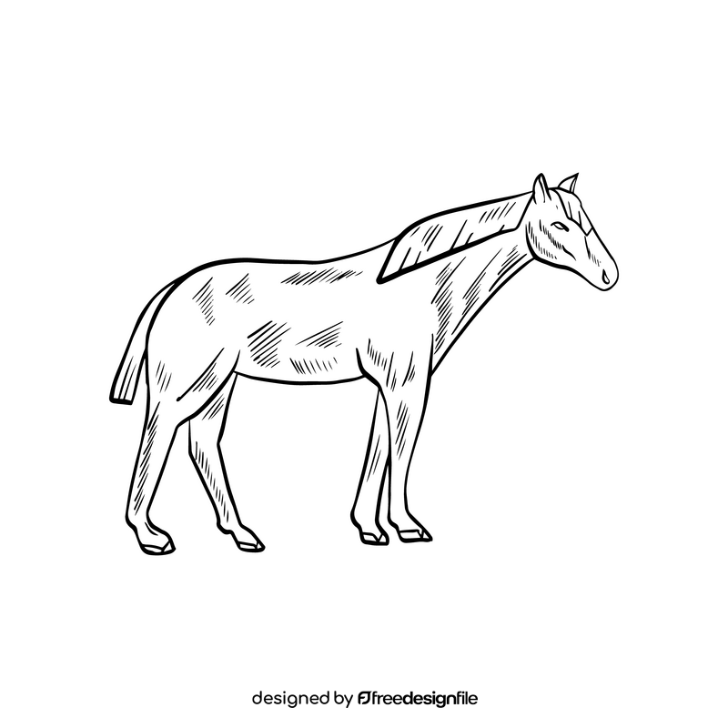 Cute horse cartoon black and white clipart