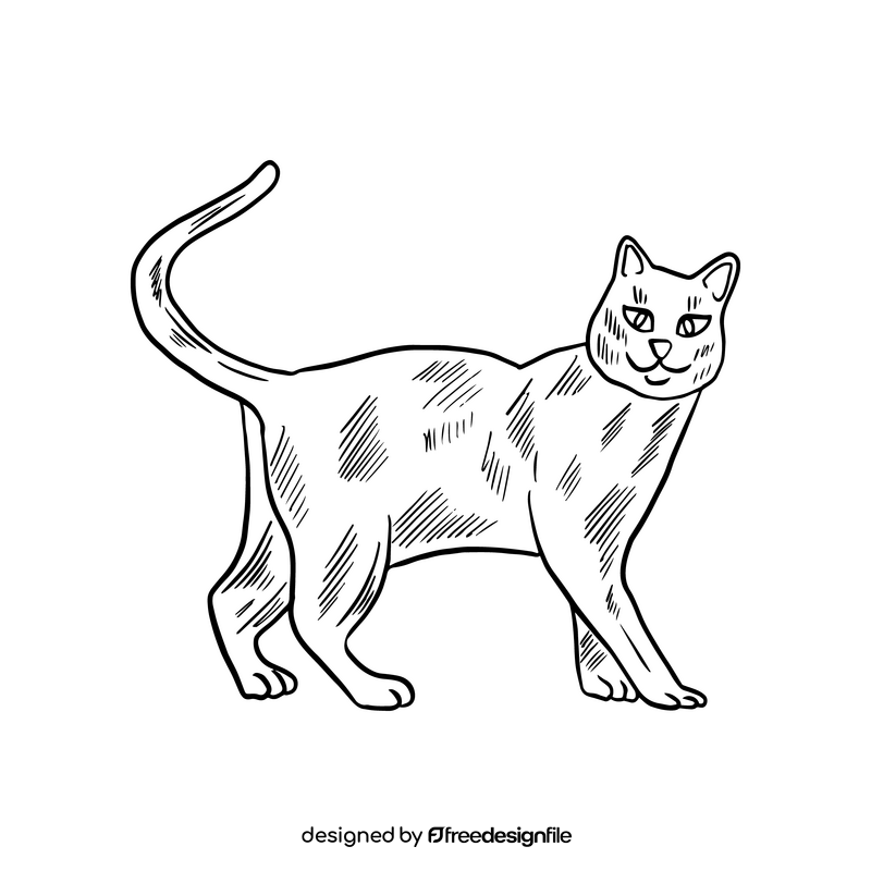Free cat drawing black and white clipart
