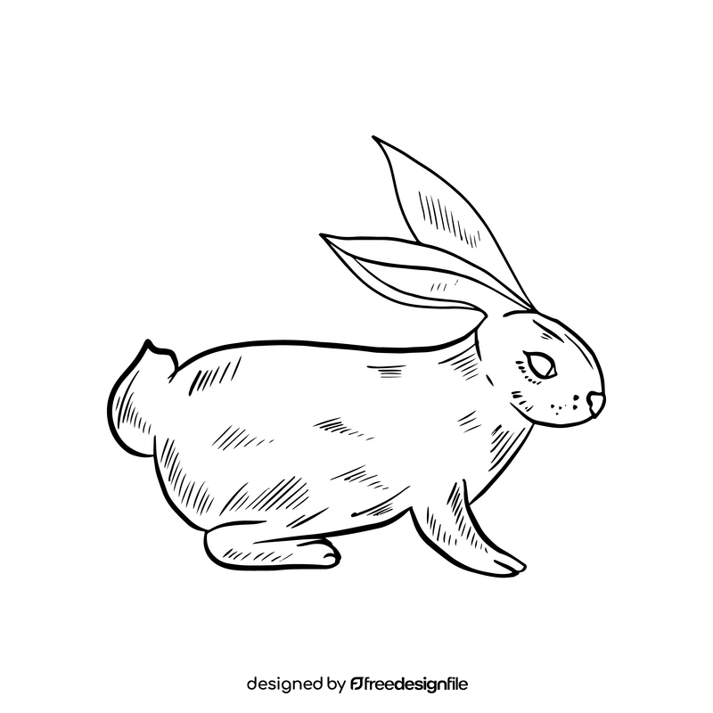 Cartoon rabbit black and white clipart