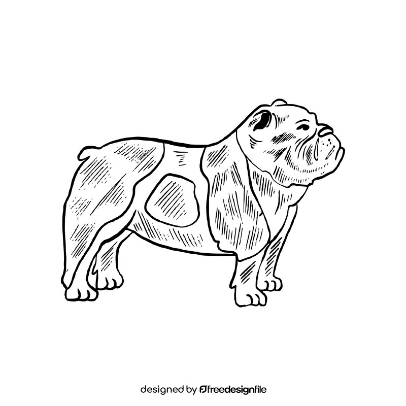 Bulldog drawing black and white clipart