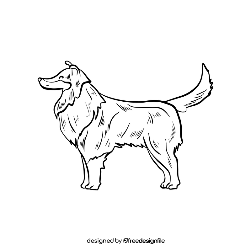 Collie dog black and white clipart
