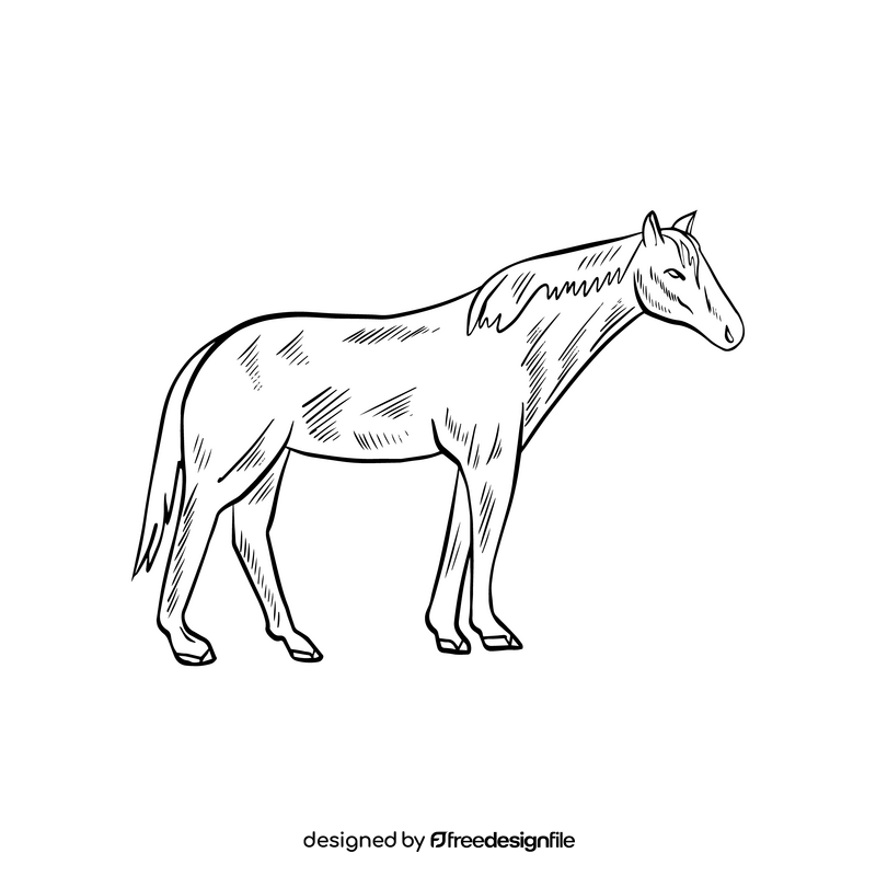 Cute horse drawing black and white clipart