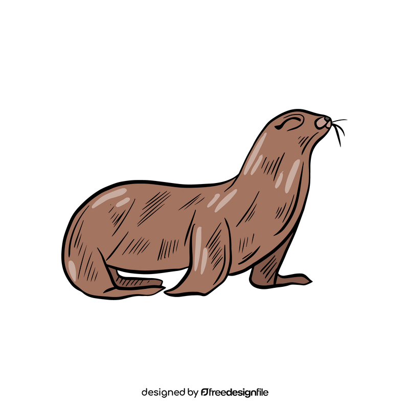 Cartoon seal clipart