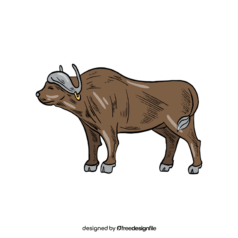 Buffalo cartoon clipart