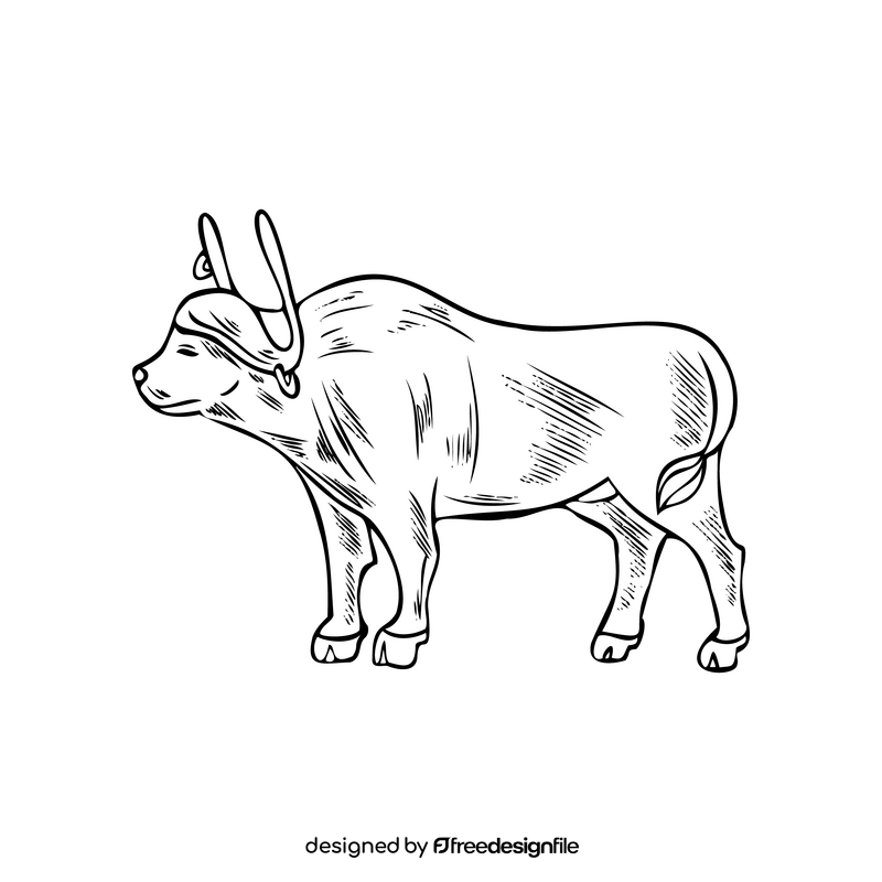 Bull illustration black and white clipart