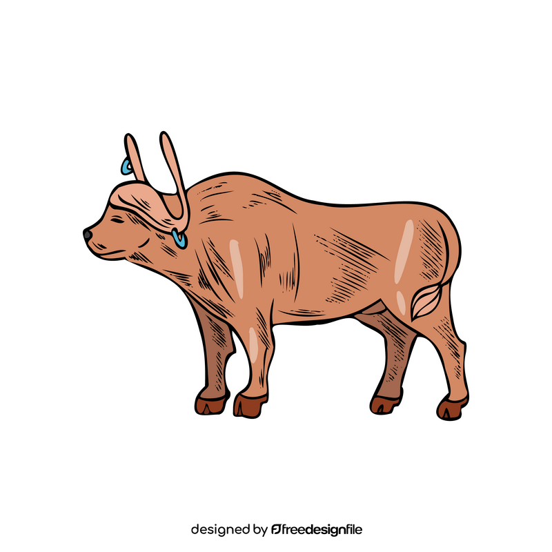 Bull illustration clipart